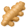 Ginger