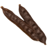 Ola Hibiscus Berry - Carob