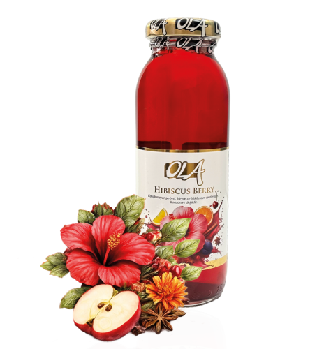 Ola Hibiscus Berry 250 ml